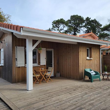 La Cabane De L'Estran Au Bord De Mer Лантон Екстериор снимка